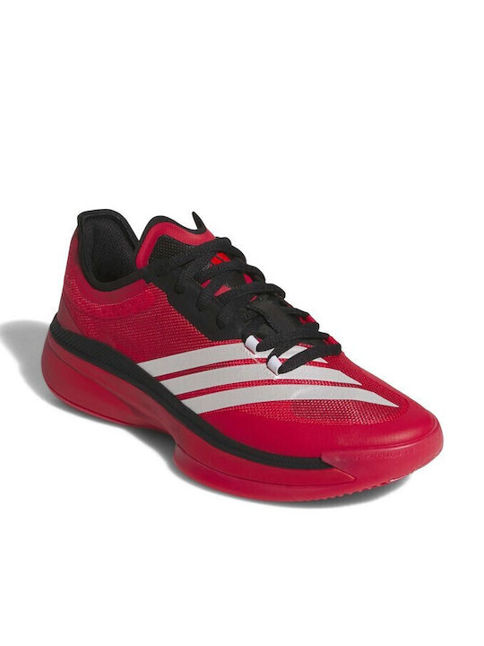 Adizero Select 3.0 Low Basketball Shoes Red