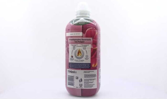 Cajoline Condensed Fabric Softener Intense Care Lillium and Fruits of the Forest 52 Measuring Cups
