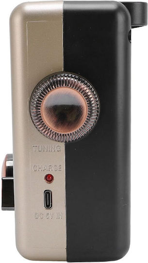 Cmik MK-A25BT Portable Radio Battery with Bluetooth Gold