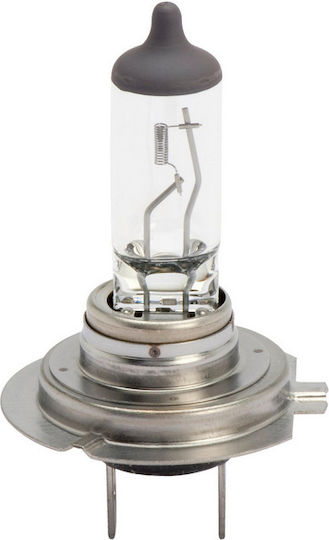 Würth H7 Крушка за Автомобилни Фарове 12 V 55 W Px 26 D Longlife