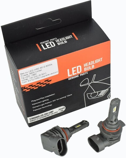 LED-Lampe Idealstore 6000k 4800 Lumen LED Typ 1860 12V-24V