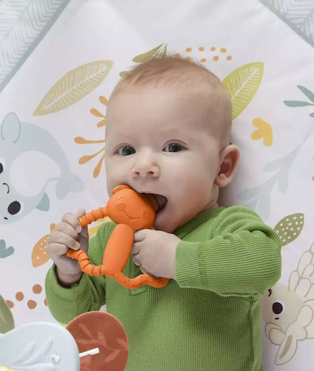 Fisher Price Beißspielzeug für das Zahnen für 3 m+