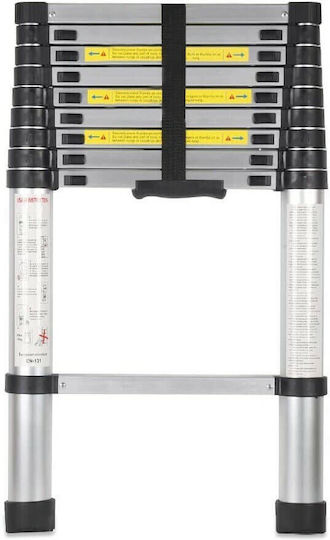 Vesta Telescopic Ladder Aluminum 10 of Steps with Maximum Height 2.9m