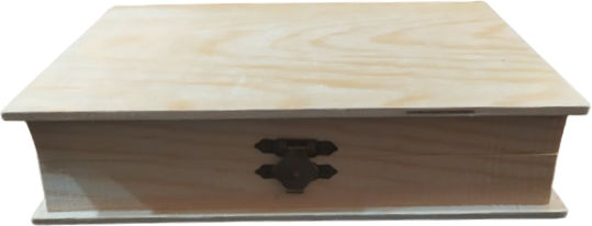Dekorative Box Hölzernes 24.5x19x5cm