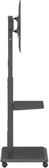 Ergo Office Βάση Τηλεόρασης Τοίχου έως 50kg Μαύρο