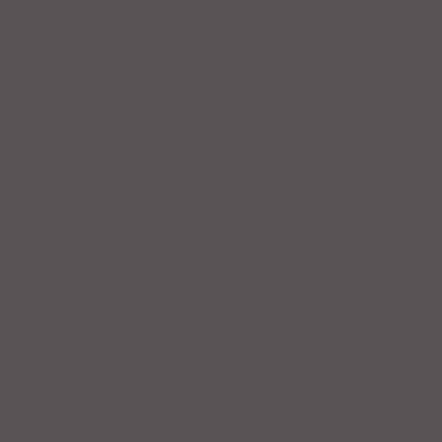 Dupli Color Spray Primer Acrylic High Temperature Gray RAL 7037 400ml