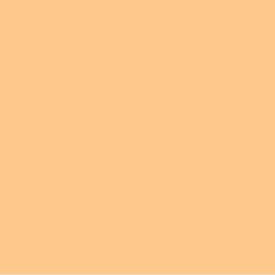 Dupli Color Σπρέι Βαφής Next με Ματ Εφέ Amsterdam Apricot 400ml