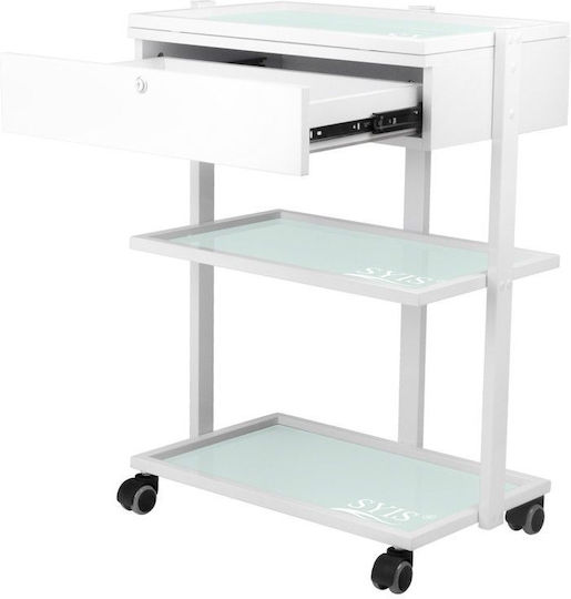 Hair Salon Maintenance Cart