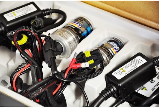 AMiO Xenon Σετ Φωτισμού Αυτοκινήτου H1 12V 8000K Ψυχρό Λευκό
