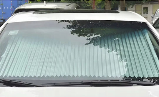 Perdea Auto 150x65 cm