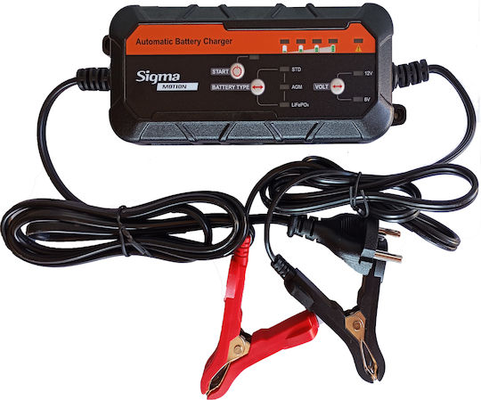 Mercury LiFePo4 Batterieladegerät Für Auto-Und Motorrad-Batterien 6/12V