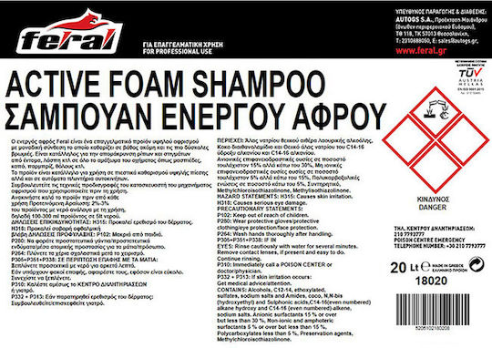 Auto Gs Șampon Auto Spumă Activă 20lt