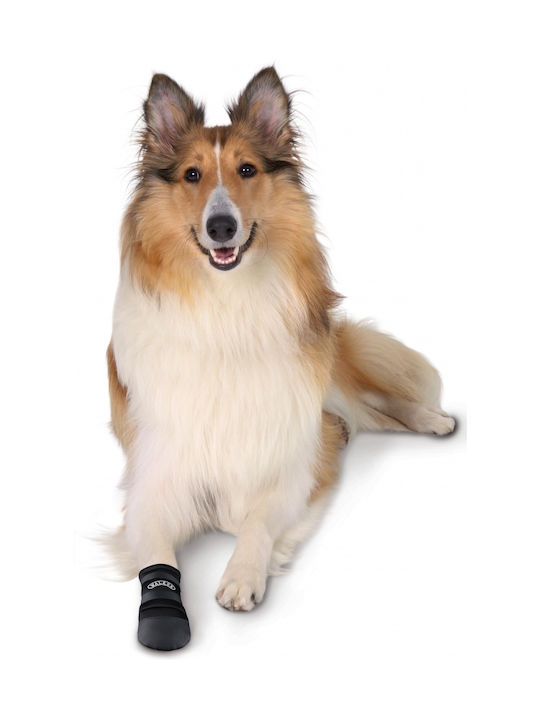 Trixie Walker Care Socks Dog Black in Black Color