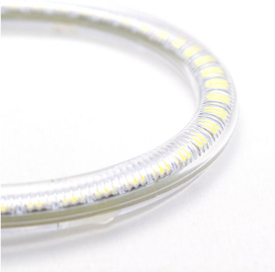 Car Headlight Angel Eye Ring 12V White Color