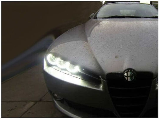 Car Headlight Angel Eye Ring 12V White Color