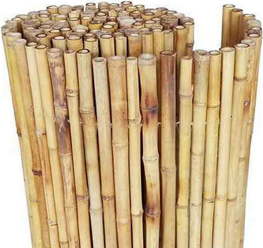 Bamboo Fencing with Whole Reed 1x3m 11-11-10030 Bamboo Fencing with Whole Reed 1x3m 11-11-10030