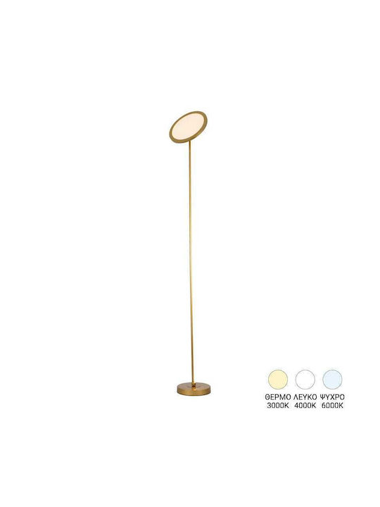 Pakketo Rita LED Φωτιστικό Δαπέδου Υ160xΜ25εκ. Χρυσό