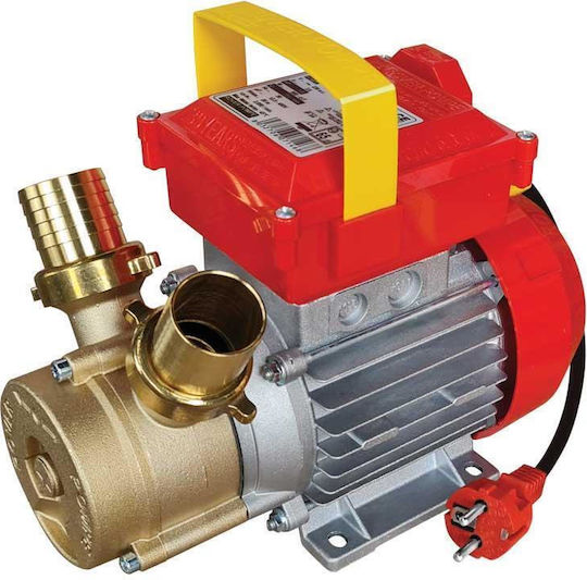 Rover Pompe Single Phase Transfer Pump with 1 - 1/4" Inlet and 1hp Horsepower