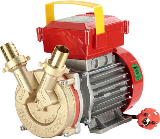 Rover Pompe Single Phase Transfer Pump with 1 - 1/4" Inlet and 1hp Horsepower