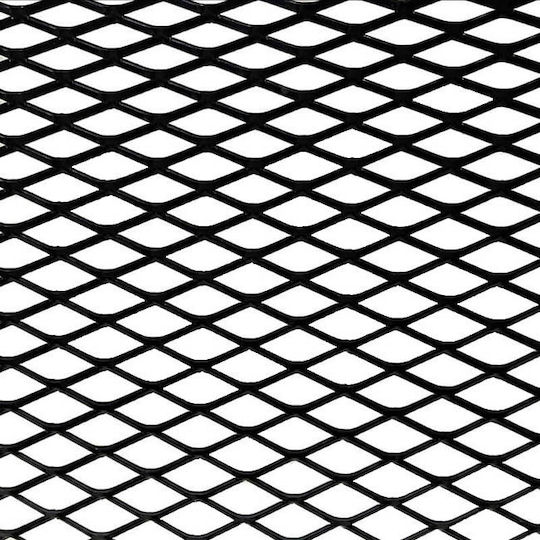 Auto Gs Car Decorative Grill 100cm x 30cm Black Color