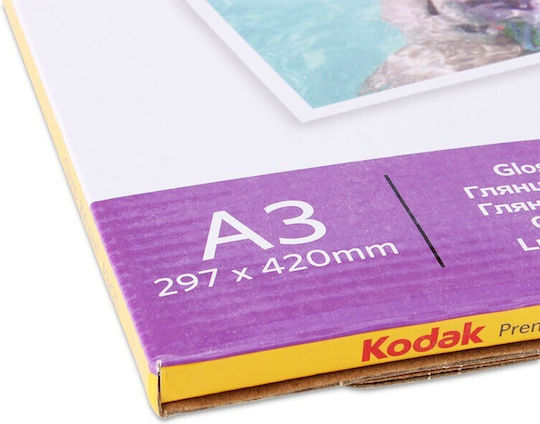 Premium Photo Paper 230g Kodak A3 Glossy 20 Sheets