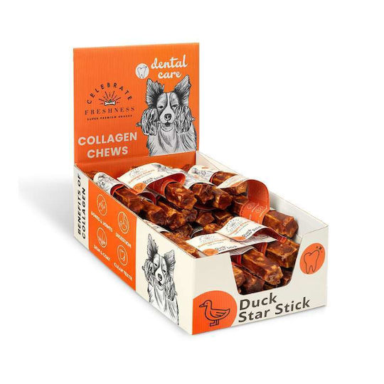 Celebrate Freshness Bone Training for Dogs with Flavor Duck 12.5cm