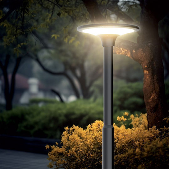 Xanlite Street Solar Light 2600lm with Warm White Light 3000K IP65 22cmcm