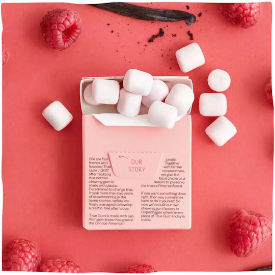 True Gum Τσίχλες με Γεύση Raspberry & Vanilla Χωρίς Προσθήκη Ζάχαρης 21gr