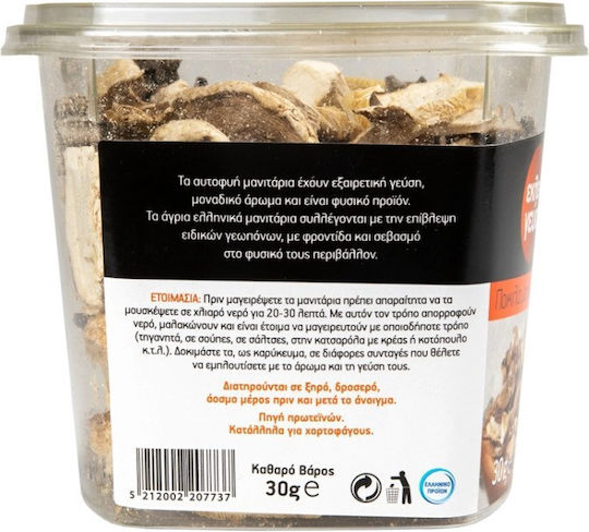 Eklektes Geyseis Mushrooms Dried Mix 30gr