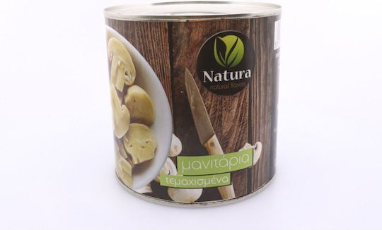 Natura Natural's Flavors Μανιτάρια 3000gr