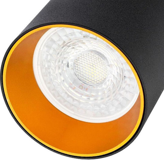 Masterled Spot mit 6 Lichtern und mit Fassung GU10 in Gold Farbe