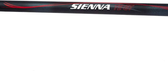 Shimano Shimano Angelruten Fr Casting 3m 40-80gr SNARTEGTW30XH | Skroutz  Germany