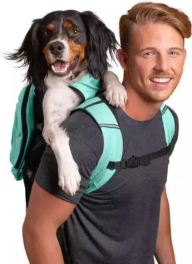 K9 Sport Sack Rucsac pentru transport câine Verde