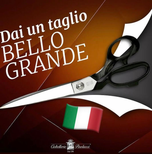 Paolucci Coltellerie Italy Metal Sewing Scissors 0066 11