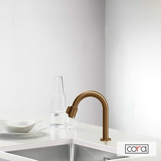 Cora 210-13504-221 Cora 210-13504-221
