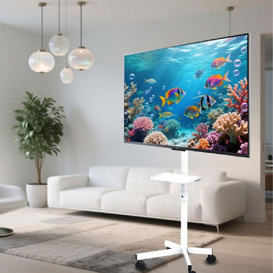 Gembird TVS-55T-03-W Βάση Τηλεόρασης Δαπέδου έως 55" Λευκό