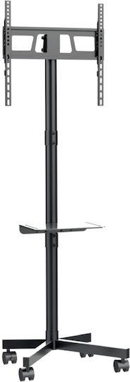 Gembird TVS-55T-03 Βάση Τηλεόρασης Δαπέδου έως 55" Μαύρο