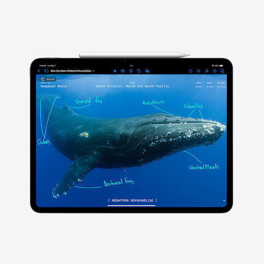 Apple iPad Pro 2024 5G 11Inches (16GB/1.0TB/Nano-Texture Glass) Space Black