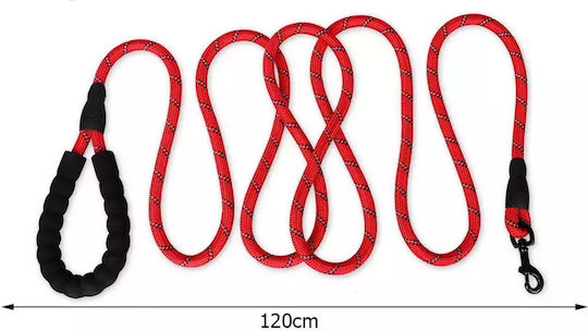 Foldable Dog Leash/Lead Strap in Red color