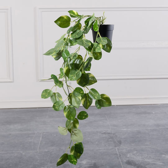 Πόθος σε Γλάστρα 63cm Supergreens