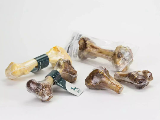 PQP Bone for Dogs with Flavor Pork 10cm