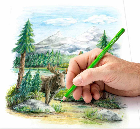 Staedtler Комплект цветни моливи Акварелни в кутия 48бр Пакет от 1 опаковки