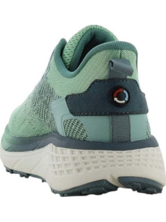 Anatomical Sneakers Mint / Green