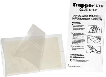 Trapper LTD Παγίδα Κόλλας