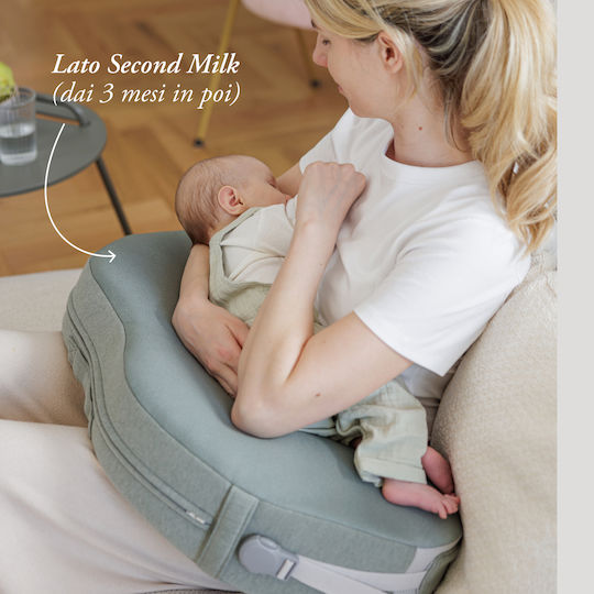 Inglesina Nursing Pillow Gray