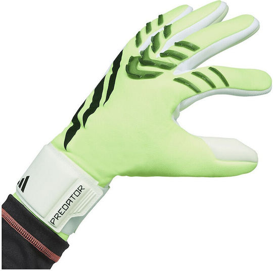 adidas Predator Gl Lge Torwarthandschuhe Erwachsene Gelb