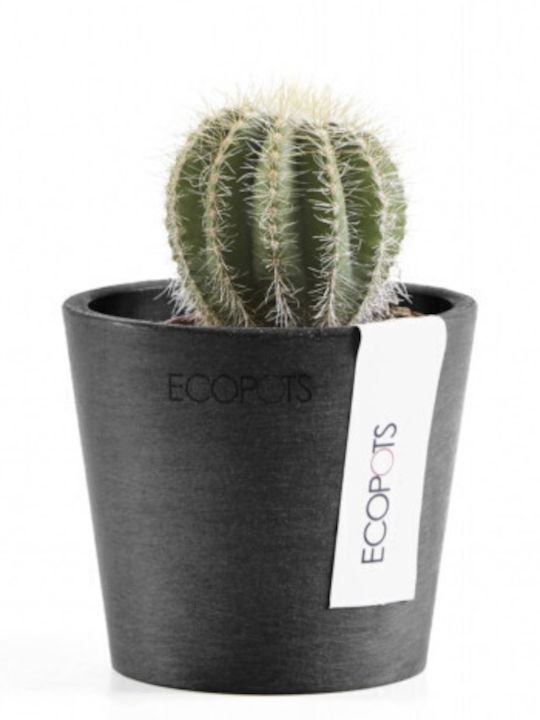 Ecopots Amsterdam Planter Black 8x8x7cm.