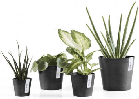 Ecopots Amsterdam Planter Black 8x8x7cm.