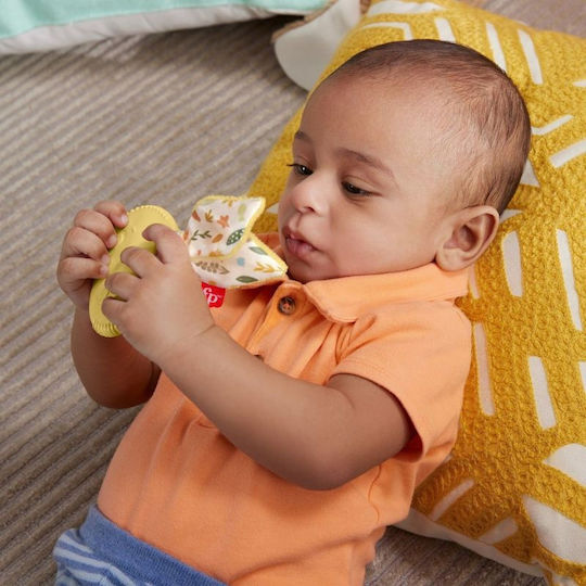 Fisher Price Rassel für 3++ Monate