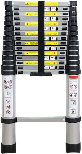 Factory Telescopic Ladder Aluminum 15 of Steps with Maximum Height 4.7m